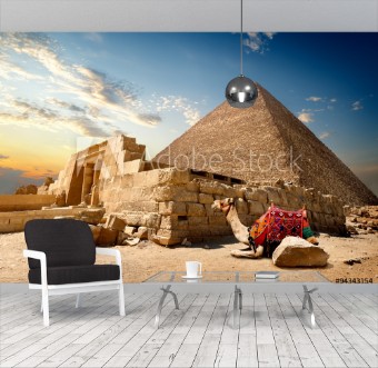 Picture of Camel near ruins